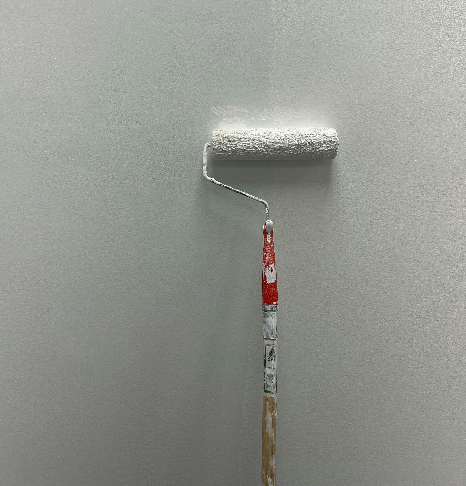 Matt schimmernde, mineralisch beschichtete Wand nach dem Auftrag von Kalkfarbe in einer Altbauwohnung.